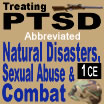 Treating PTSD: Natural Disasters, Sexual Abuse, and Combat-Abb